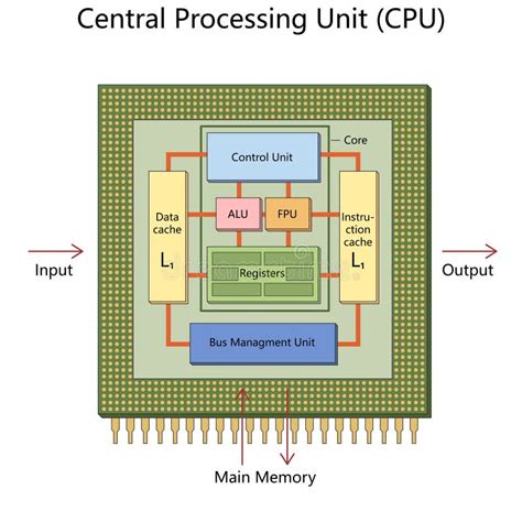 Schema modulară a unei arhitecturi CPU: CU, ALU, registrii, cache