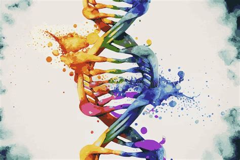 Reprezentare grafică a ADN