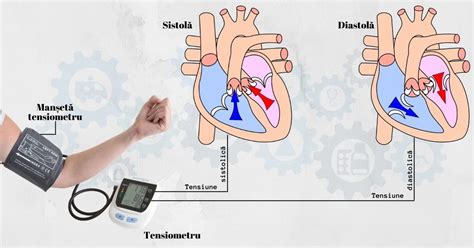 Diagrama cu poziția corectă pentru măsurarea tensiunii arteriale
