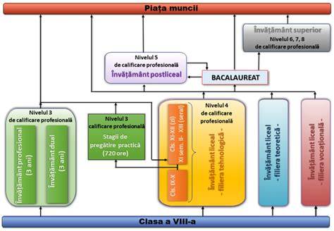Infografic proces alocare niveluri de calificare