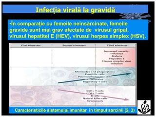 Schema prognozei hepatitei B în timpul sarcinii