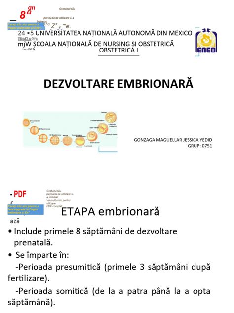 Infografic: etape de implantare a blastocistului în endometru