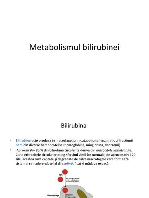 Mecanismul formării bilirubinei: distrugerea eritrocitelor, conjugare în ficat, excreție intestinală
