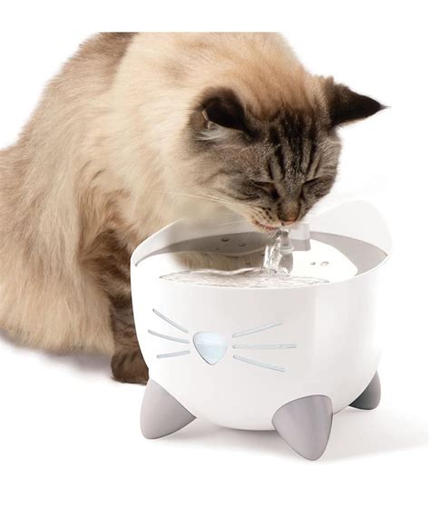 Fântână de băut pentru pisici