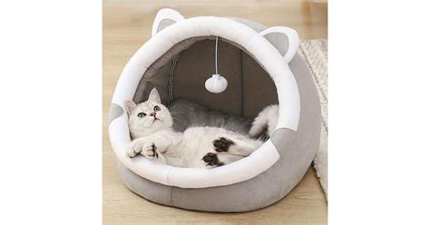 Pisică dormind într-un pat confortabil