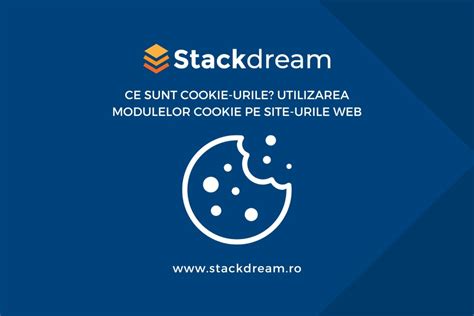 Infografic despre funcționarea modulelor cookie