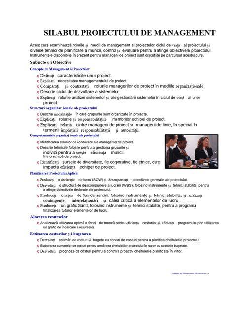 Infografic: structura PMO și fluxul de guvernare în managementul proiectelor