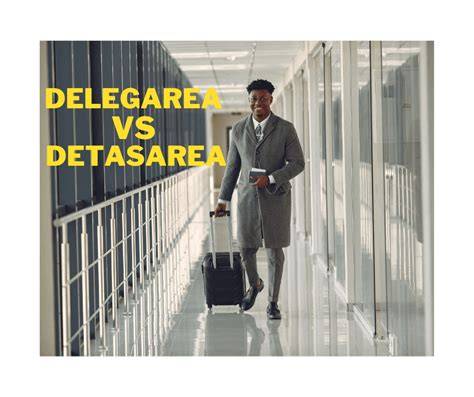 Infografic: Delegarea vs. detașarea - elemente-cheie și diferențe