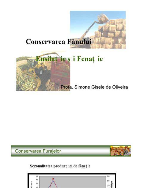Infografic: alimentația iepurilor și rolul furajelor concentrate