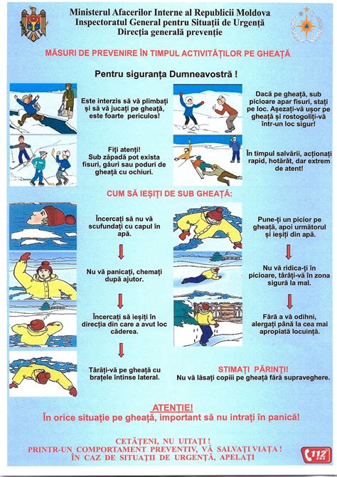 Diagramă: principalele maladii ale iepurilor și măsuri de prevenire