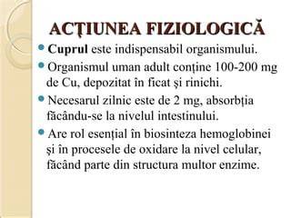 Infografic: Cale fiziologică a bilirubinei în organismul nou-născutului