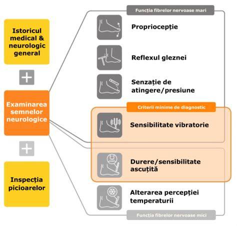 Harta clinică a simptomelor și acțiunilor în funcție de trimestru