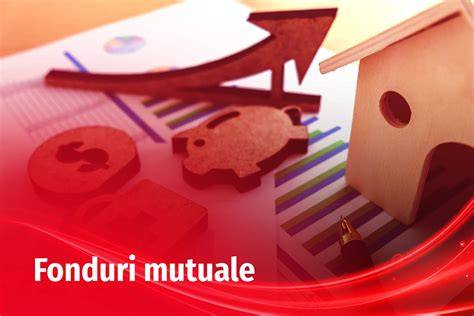 Infografie: Tipuri de fonduri mutuale în România