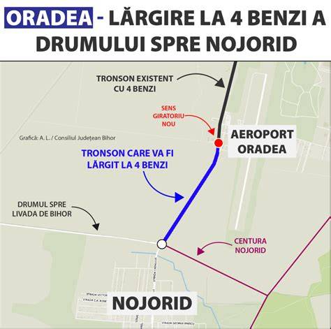Infografic: Fluxul unei consultații ginecologice integrate între Oradea și centrele din Ungaria