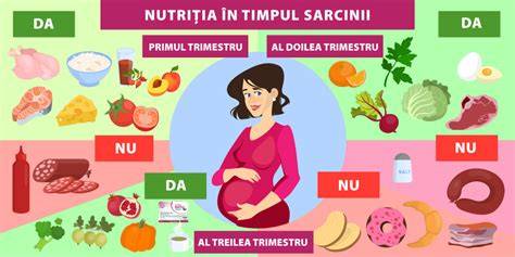 Diagrama echilibrului alimentar in timpul sarcinii