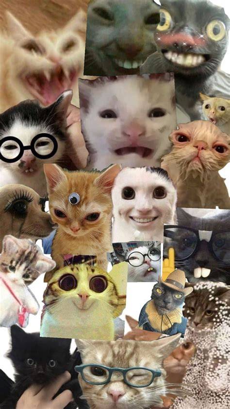 Ginger community and memes collage