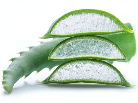 Infografic: Componentele cheie ale Aloe Vera și mecanismele de acțiune în sănătatea ginecologică