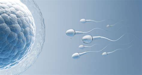 Infografic: Parametri esențiali ai fertilității masculine