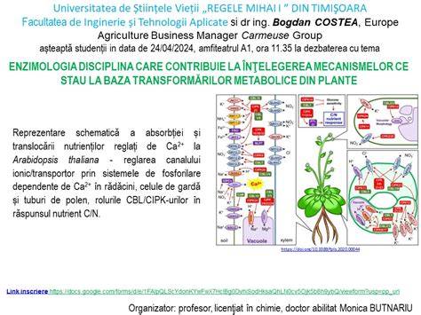 Diagrama mecanismelor care contribuie la constipația în sarcină