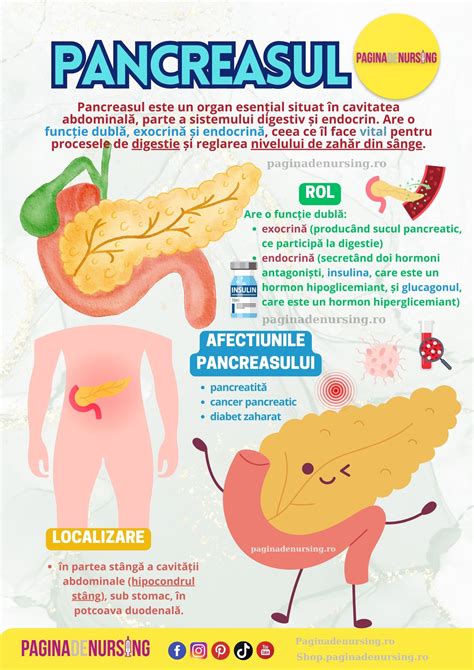 Infografic: diagramă a herniei ombilicale în sarcină cu localizare, factori de risc și opțiuni de tratament