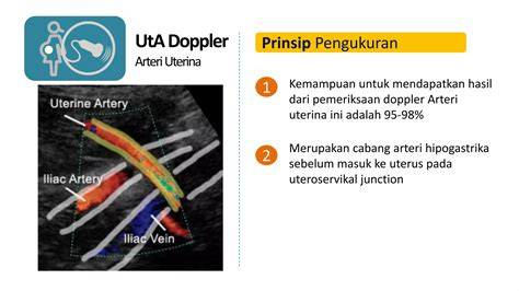 Diagrama fluxurilor Doppler în IUGR