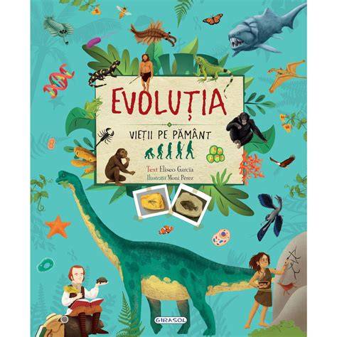 Infografica rezerva ovariana si evolutia acesteia pe parcursul vietii unei femei