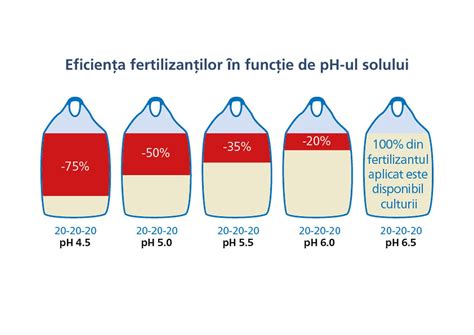 Humus - rol central în fertilitatea solului