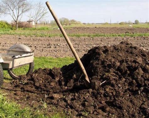 Fertilizare naturală cu gunoi de grajd și compost