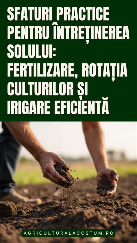Practici practice pentru sporirea fertilității solului