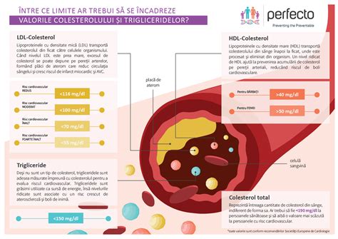 Infografic despre valorile normale ale ureei serice