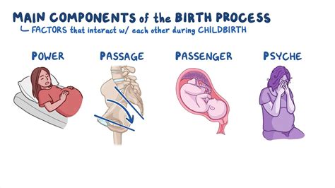Infografic: cele 4P ale travaliului (Power, Passage, Passenger, Psyche)