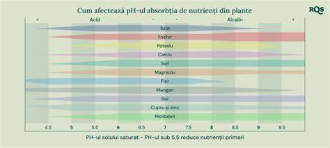 Diagramă: Relația dintre pH, humus și disponibilitatea nutrienților