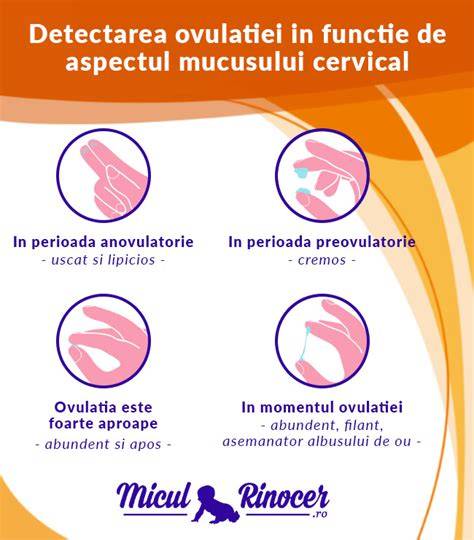 Diagramă a factorilor care influențează mucusul cervical