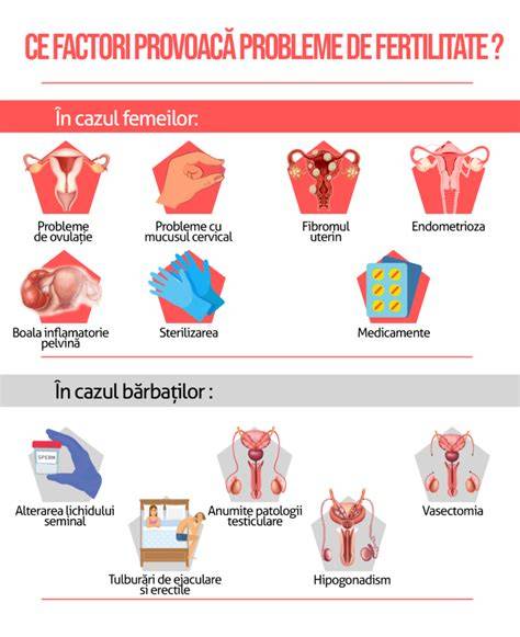 Infografic: Factori de fertilitate in viata cuplului