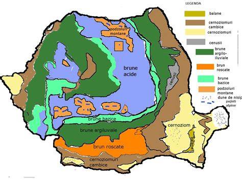 Infografic: Clasificarea principalelor tipuri de sol din Ucraina