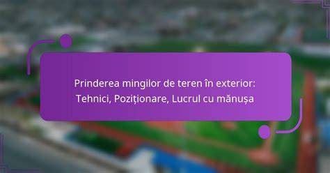 Plan cu centruri de siguranță și poziționare corectă a centurii în timpul sarcinii