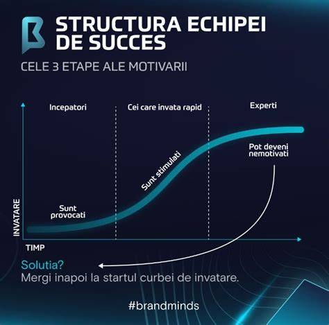 Infografic: factori de succes ai FIV