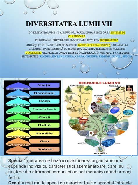 Infografic: Diversitatea lingvistică a lumii și riscul dispariției limbilor