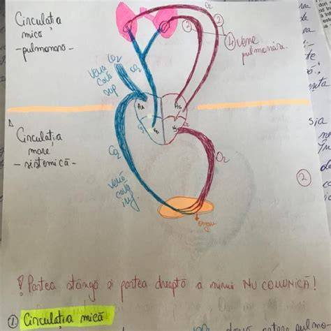 Schema circulației nutrienților în fermă ecologică