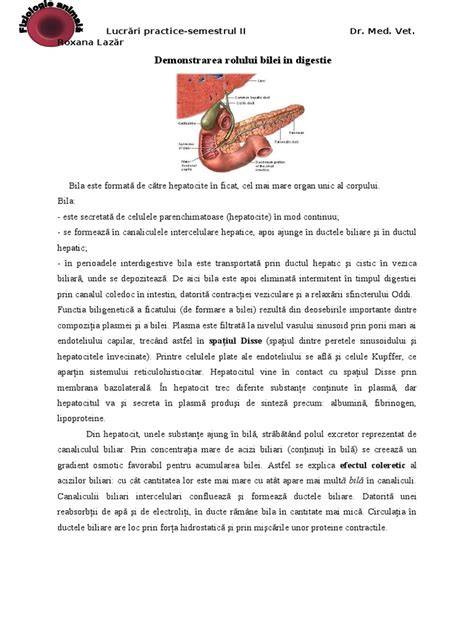 Schema interactiunii pancreasului si bilei in digestie