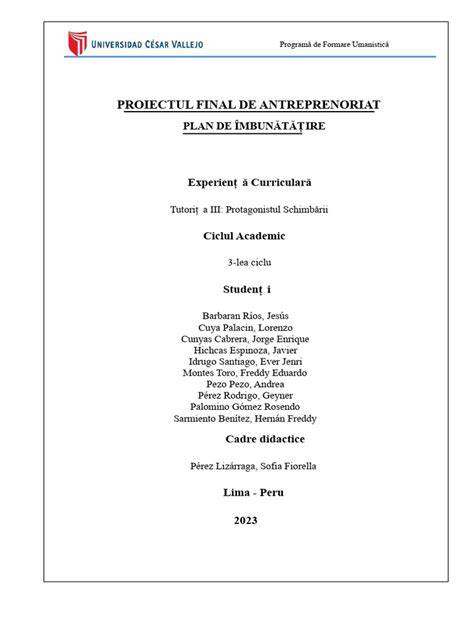 Schema organizare echipă proiect
