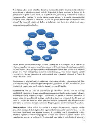 Schema echipă de proiect cu roluri