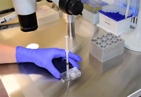 Tehnologia ZyMot pentru selecția spermatozoizilor