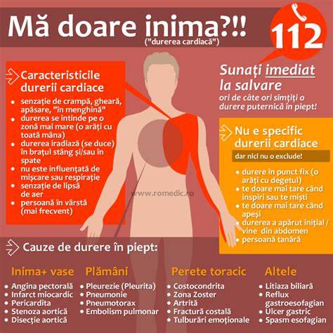 Infografie: Ce cauzează durerile în capul pieptului în timpul sarcinii și cum se tratează