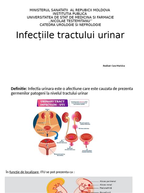 Diagrama anatomiei tractului urinar