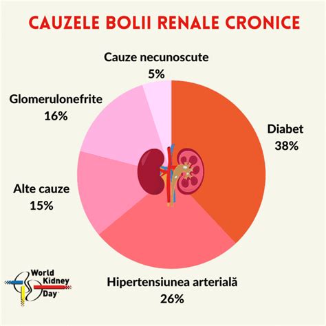 Infografic despre simptomele și cauzele colicii renale