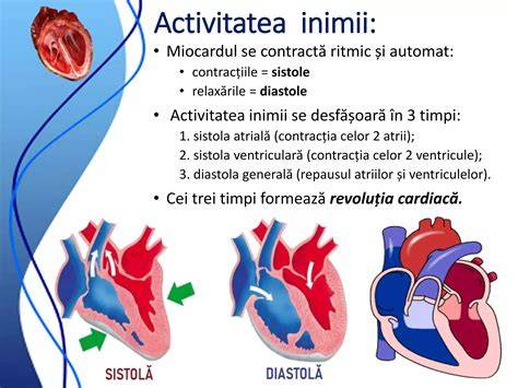 Inferarile Comune ale inimii embrionare si primul sunet ecografic al batailor inimii