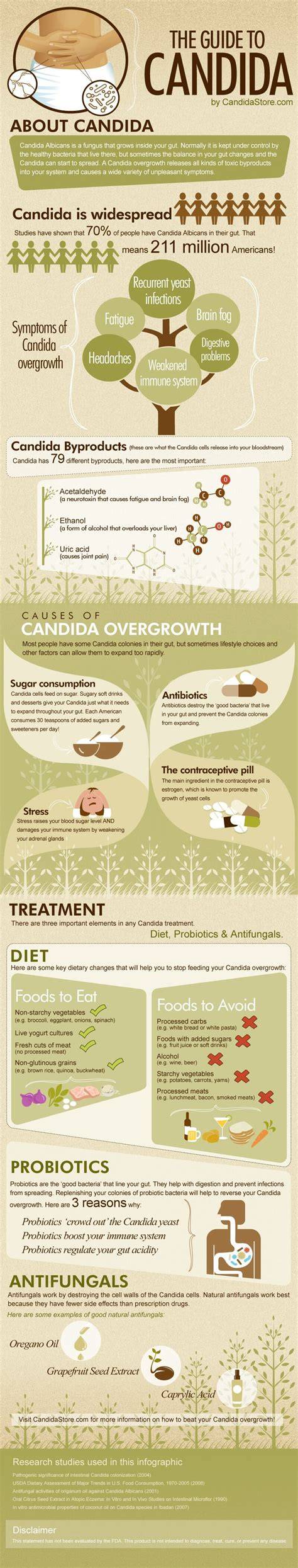 Infographic despre mecanismul Candida albicans in flora vaginala si echilibrul cu Lactobacillus