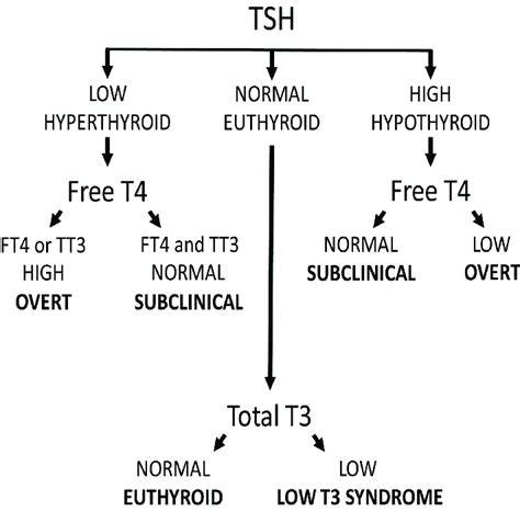 Schema interactiva: axa hipotiroidism - TSH si FT4