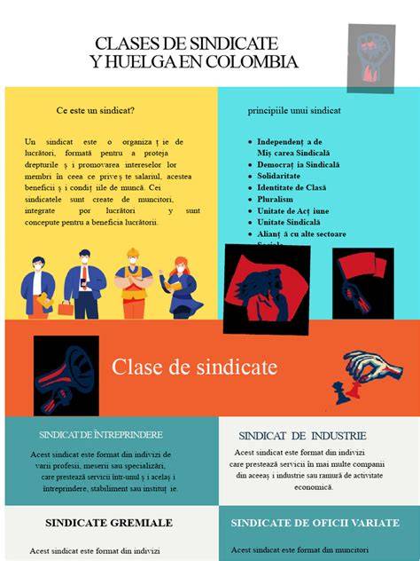 Infografic: Dr. Silvesan si echipa OB-GYN